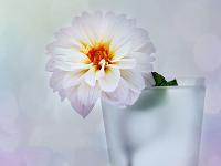 上海伴游旅游咨詢有限公司