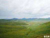 瑪曲草原