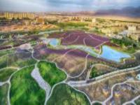 紫金花海甘肅景點