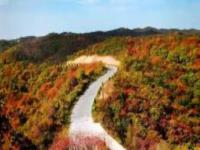 石門山國(guó)家森林公園陜西景點(diǎn)