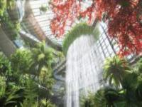 重慶光環(huán)購物公園室內植物園“沐光森林”重慶景點