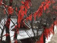 鳳凰谷森林公園山西景點