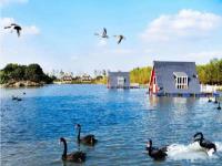 上海-大千天鵝湖莊園