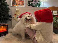 邛崍伴游服務物業秦癡夢