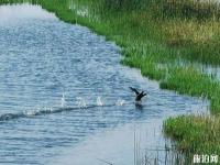 草海自然保護區(qū)