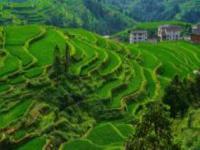 堂安梯田貴州景點