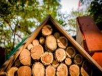 上海宋慶齡故居紀念館上海景點