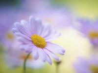 上海伴游文化傳媒有限公司