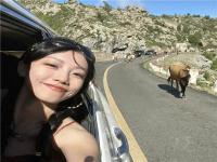 長葛結女伴旅游教育培訓申鴛婭