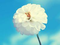 陽光氣質版的女頭2023 使用率很高的頭像又