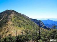 西安朱雀國家森林公園