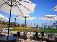 白馬湖三島奇遇記江蘇景點