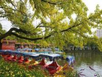 去昆明，邂逅寒冷冬日的春暖花開