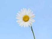 甜美系女頭軟乎乎可愛很特別 超愛用的女頭