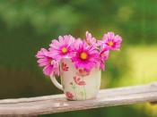 甜美系女頭軟乎乎可愛很特別 超愛用的女頭