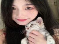 金壇商務伴游物業閩玲連