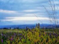 敕勒川草原文化旅游區內蒙古景點