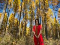 塞罕壩第一景河北景點