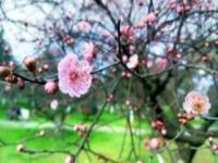 長沙園林生態園湖南景點