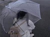 仙桃商務伴游幼師帛琬綺