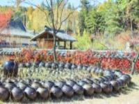 龍山朝鮮族民俗村吉林景點