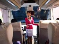 約寶寶商務伴游市場，開啟線上網約的新篇章服務