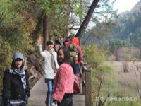 私人導(dǎo)游
才跟閨蜜到四川成都玩了5天，去之前自己也做了一些攻略
