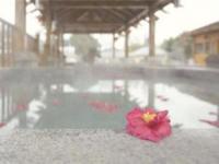 湯山一號溫泉度假區