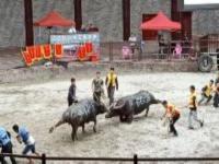 月也侗寨廣西景點(diǎn)