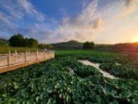 晚霞湖國家水利風(fēng)景區(qū)甘肅景點