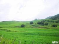 吐魯溝國家森林公園