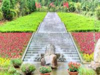 茂名-高州仙人洞風(fēng)景區(qū)