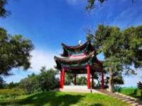 明月島黑龍江景點