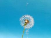 禁欲黑色系微信女頭很洋氣 與眾不同的暗黑