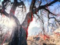 巖畫古村寧夏景點