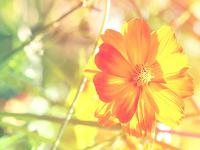 吉林省伴游科技有限公司