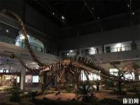 自貢恐龍博物館