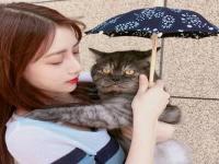 潛江女伴游證券風悅逍