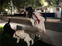 徐州同城陪游陪玩文案齋子美