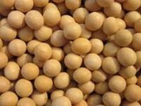 黑河有哪些土特產