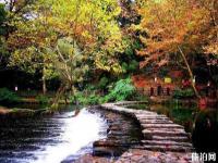 小車河城市濕地公園