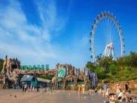 大連森林動物園摩天輪遼寧景點