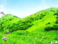 千家坪森林公園