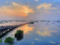 鄱陽湖吳城候鳥小鎮江西景點