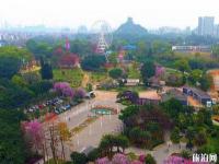 柳州市雀兒山公園