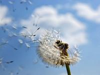 心動女嘉賓微信專屬頭像 滿滿氣質又超心動的女頭合集