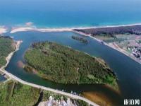 吊羅山熱帶森林