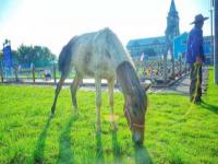 海之灣戶(hù)外大本營(yíng)