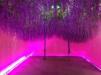 長(zhǎng)春戀愛博物館吉林景點(diǎn)