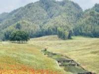 獅子峰江西景點